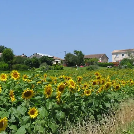 - Vin Rose بيت للعطل